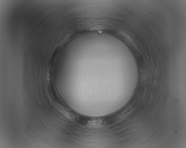 X0000076030362200610061424