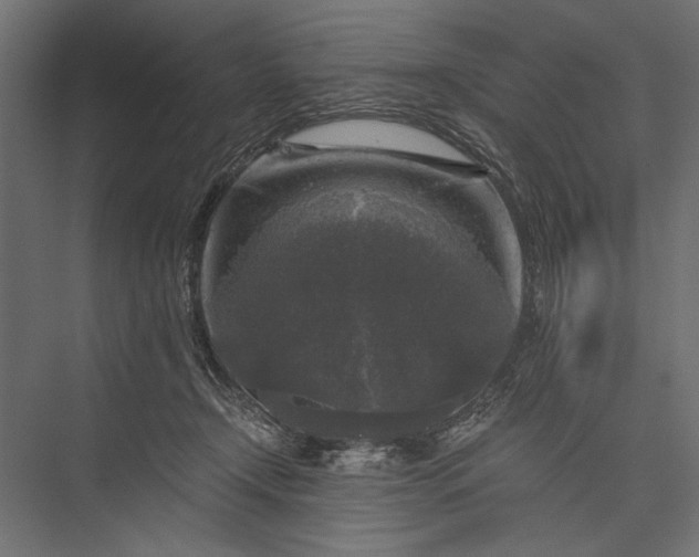 X0000076030366200610061424