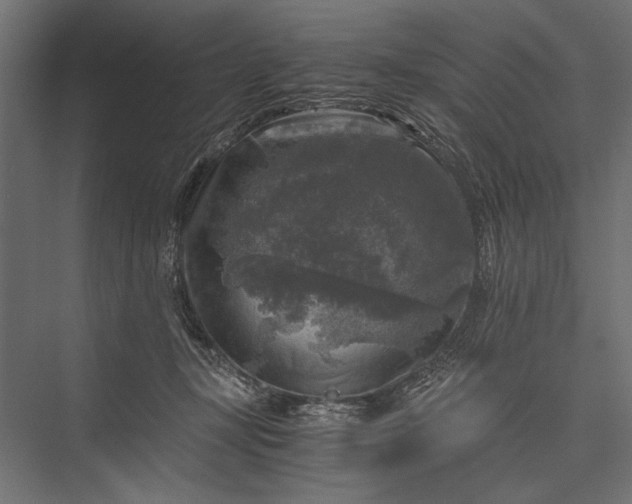 X0000076030367200610061424