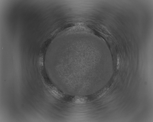 X0000076030368200610061424