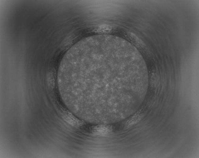 X0000076030370200610061424