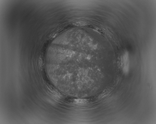 X0000076030371200610061424