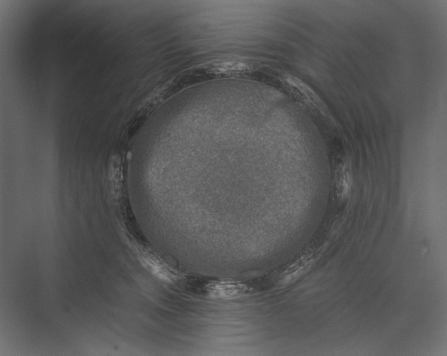 X0000076030372200610061424