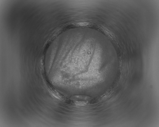 X0000076030373200610061424