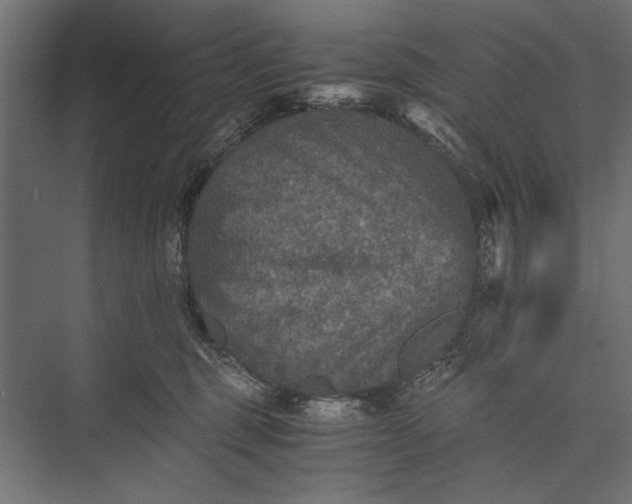 X0000076030375200610061424