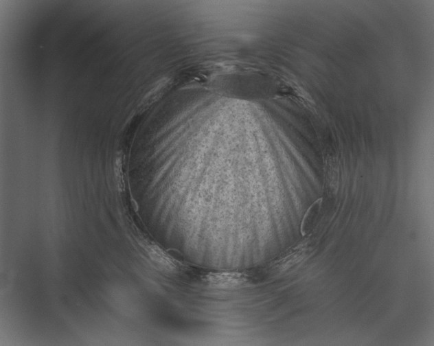 X0000076030378200610061424