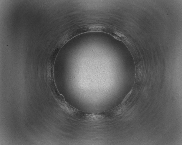 X0000076030379200610061424