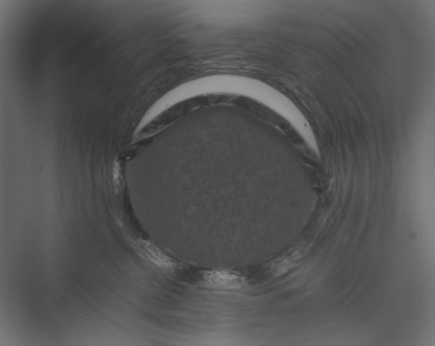 X0000076030380200610061424