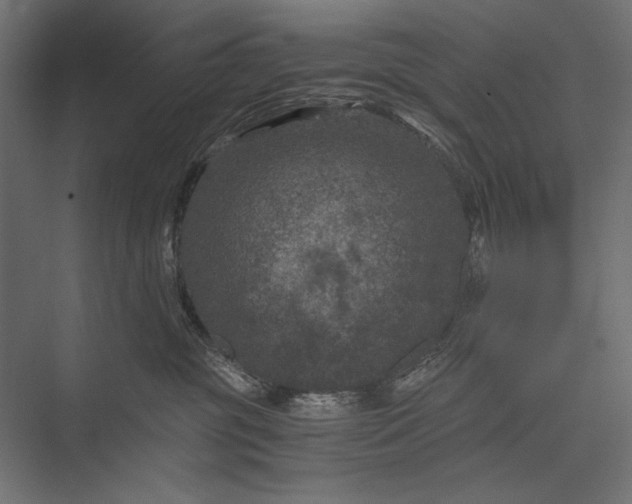 X0000076030381200610061424