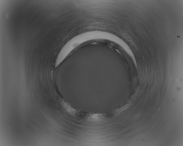 X0000076030382200610061424