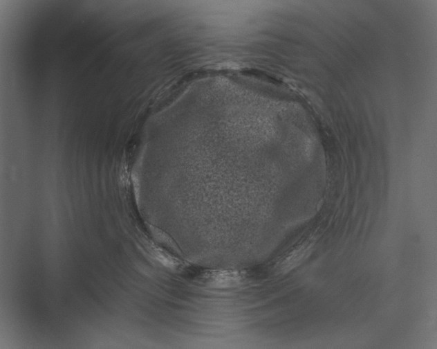 X0000076030384200610061424