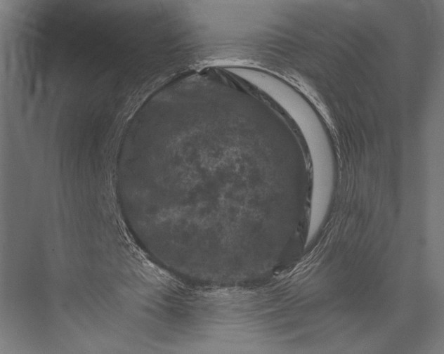 X0000076030385200610061424