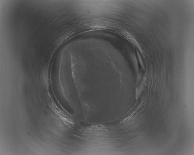 X0000076030386200610061424