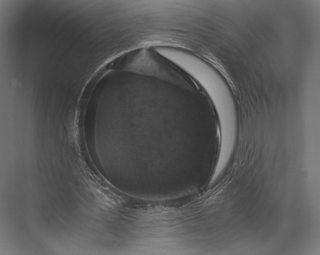 X0000076030387200610061423