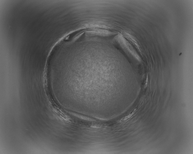 X0000076030388200610061423