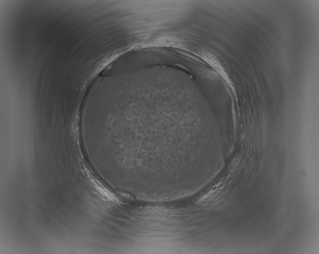 X0000076030389200610061423