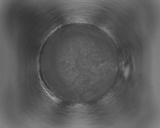 X0000076030390200610061423