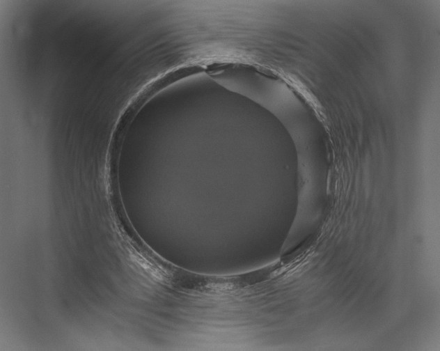 X0000076030391200610061423