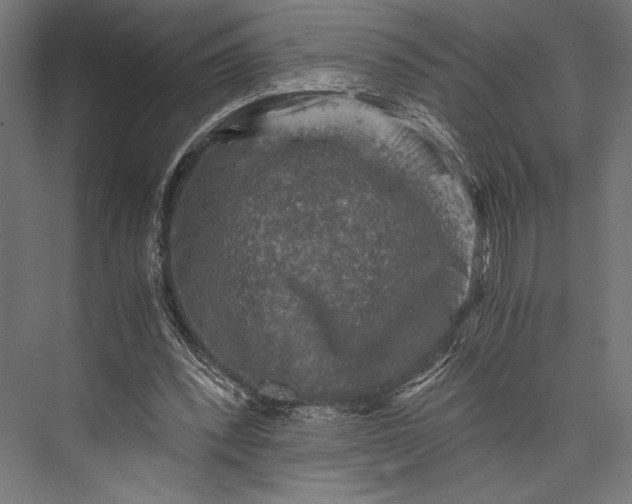 X0000076030392200610061423