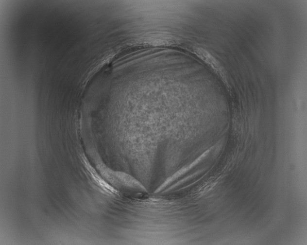 X0000076030393200610061423