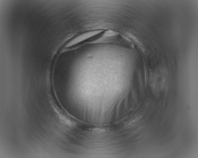 X0000076030394200610061423