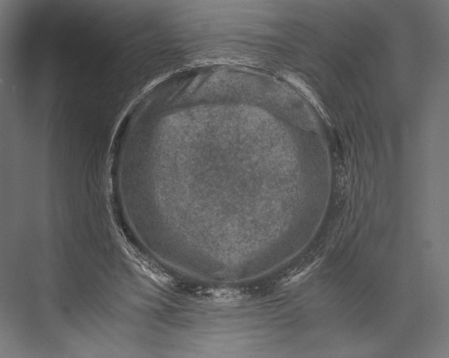 X0000076030395200610061423