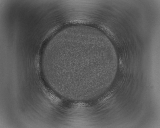 X0000076030396200610061423