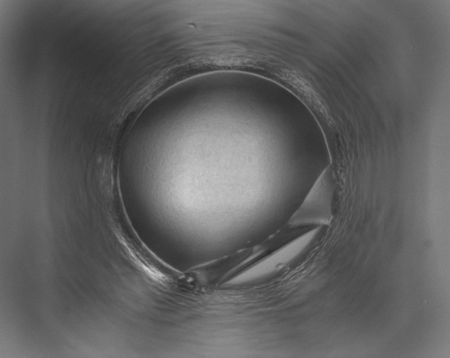 X0000076030397200610061423