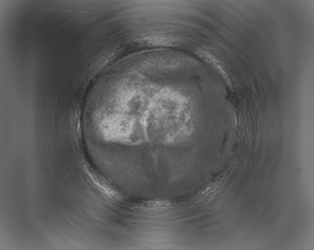 X0000076030398200610061423