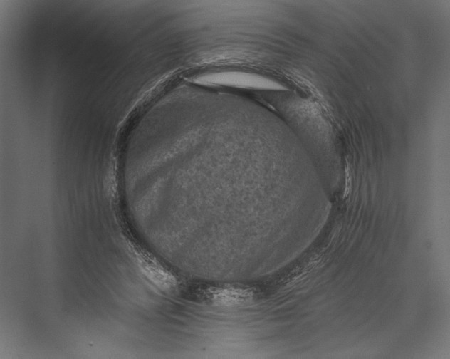 X0000076030400200610061423