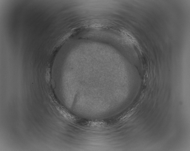 X0000076030401200610061423