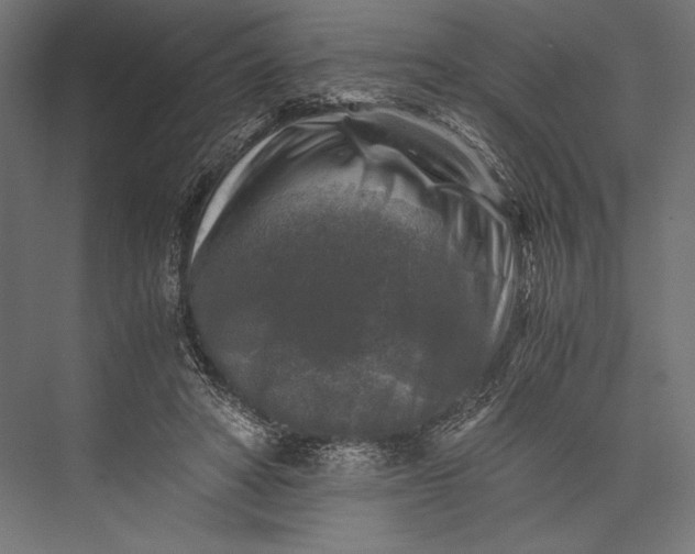 X0000076030402200610061423