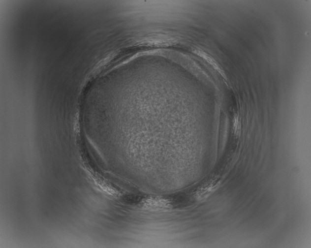 X0000076030403200610061423