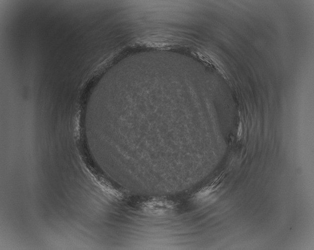 X0000076030404200610061423