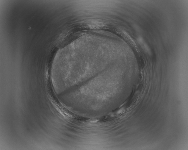 X0000076030405200610061423