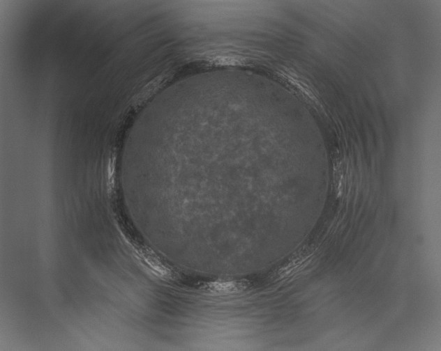 X0000076030406200610061423