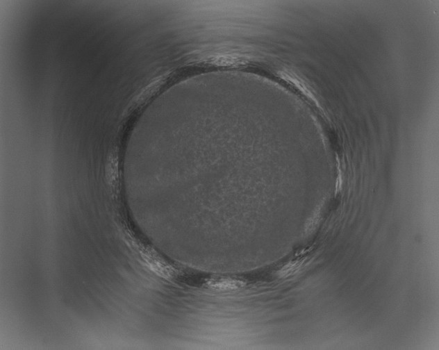 X0000076030407200610061423