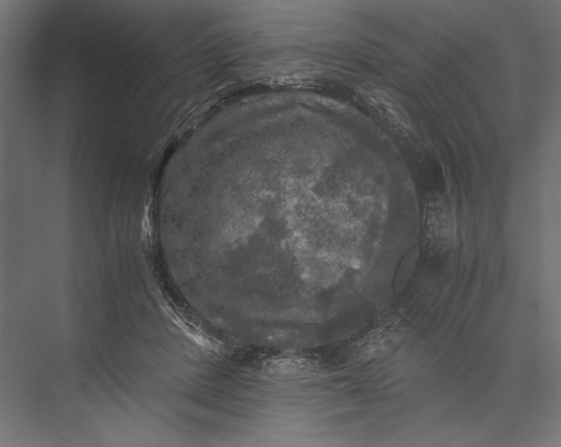 X0000076030408200610061423