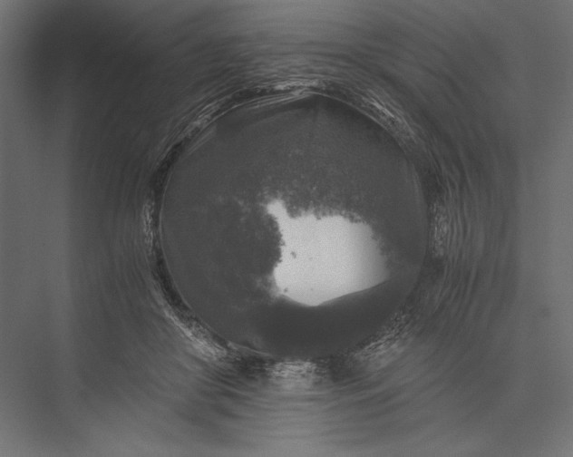 X0000076030410200610061423