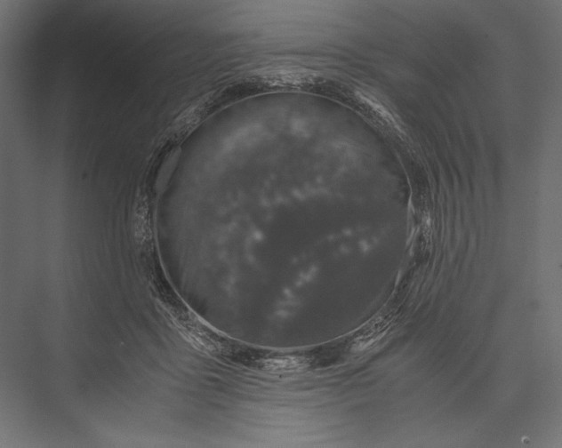 X0000076030411200610061423