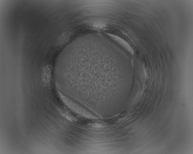 X0000076030412200610061423