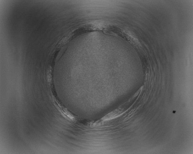 X0000076030413200610061423