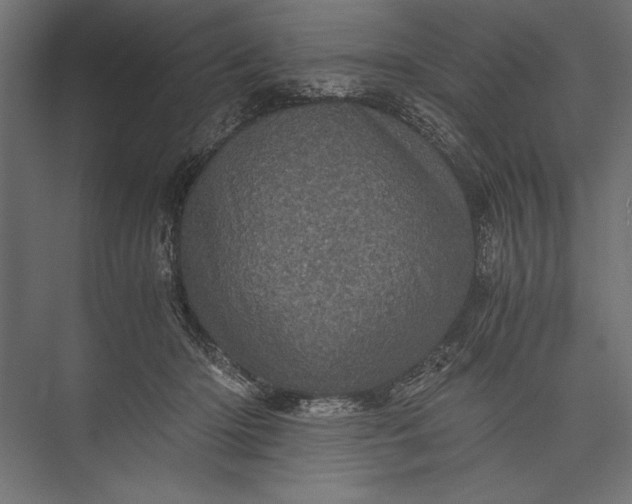 X0000076030414200610061423