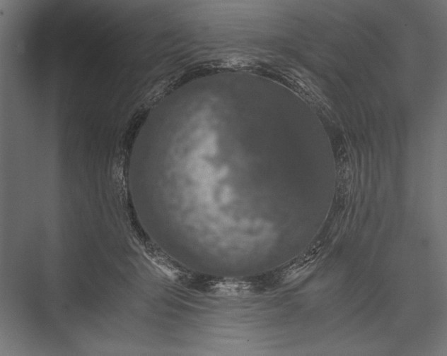 X0000076030415200610061423