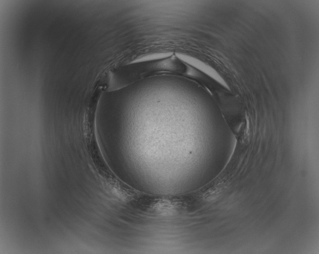 X0000076030416200610061423