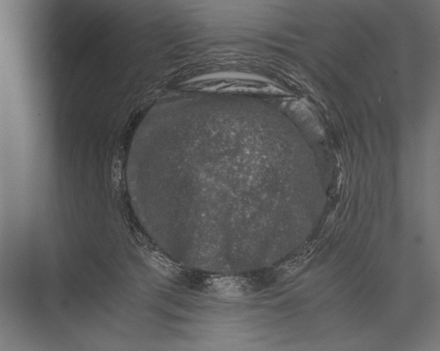 X0000076030417200610061423