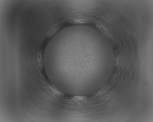 X0000076030418200610061423