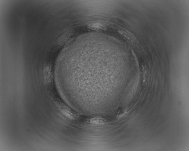 X0000076030420200610061423