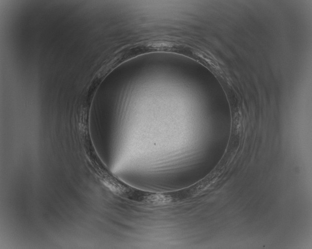 X0000076030421200610061423