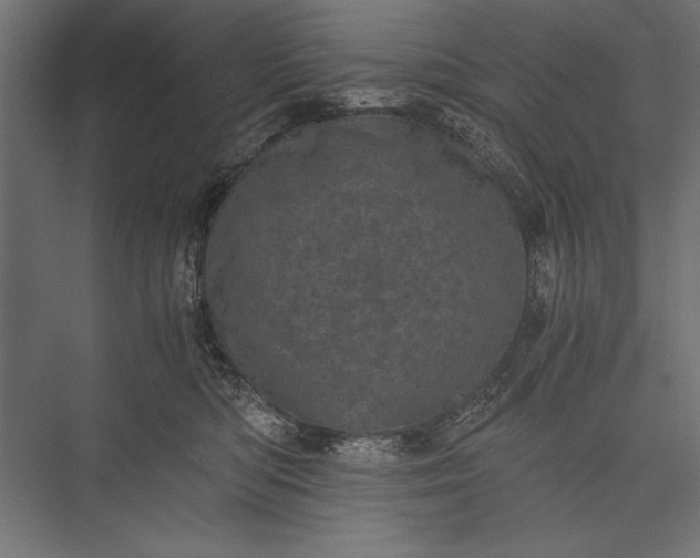 X0000076030422200610061423